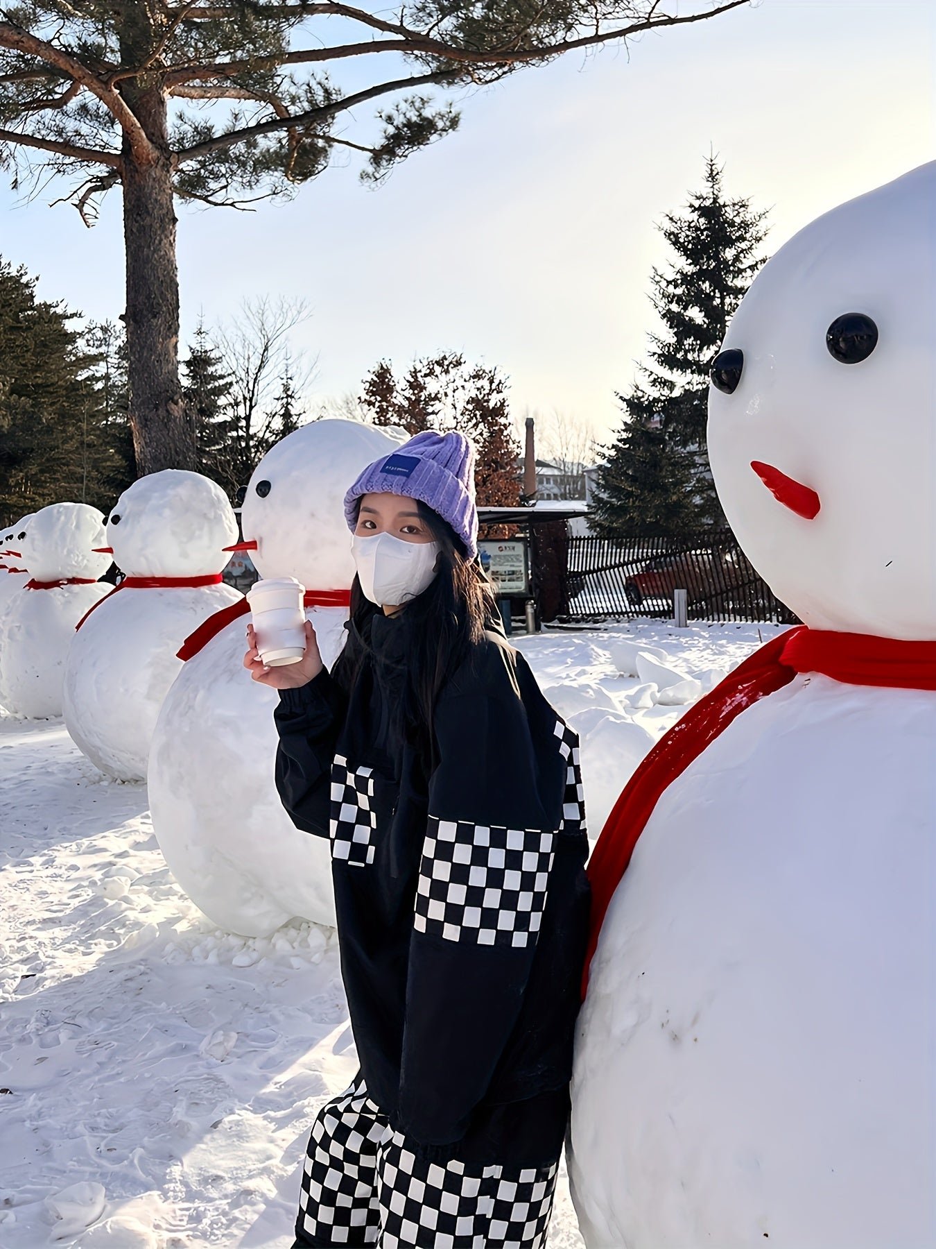 1cd274fa-5314-46de-9a00-c16e09aed5d6-1 Ski Suit, Checkered Windproof Waterproof Ski Top & Ski Pants Suit, Women's Activewear